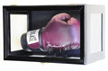 Boxing Glove Display Case (Wall Mounting/Free Standing) - sfDisplay.com