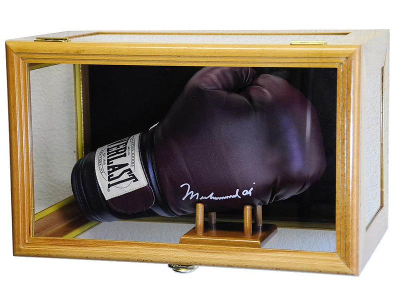 Boxing Glove Display Case (Wall Mounting/Free Standing) - sfDisplay.com